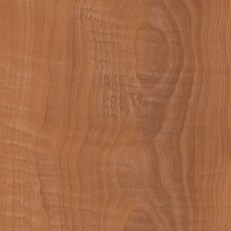 Ashdown Plum