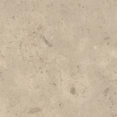 Fossil Limestone