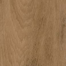 Rotterdam Oak