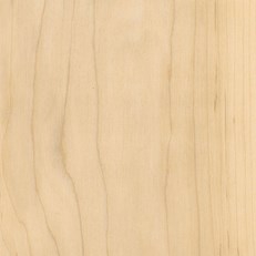 Sugar Maple
