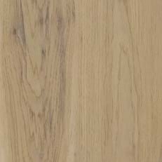 Canopy Oak