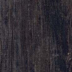 Cellar Oak