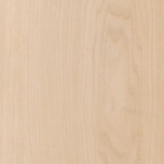 Pale Maple