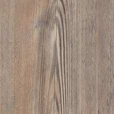 Parisian Pine
