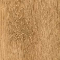 Sanctuary Oak