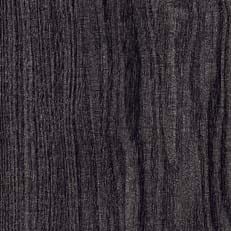 Shadow Oak
