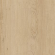 Warm Maple Warm Maple